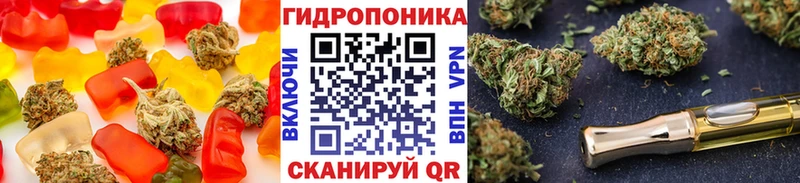 Купить закладки  Курчалой  Cannafood марихуана 