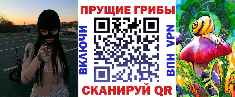 Купить закладки  Курчалой  Псилоцибиновые грибы Magic Shrooms 