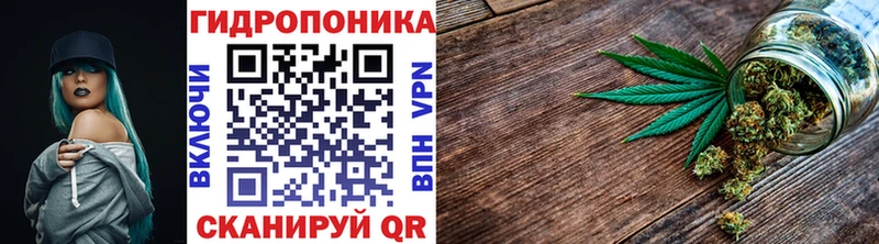 Купить закладки  Курчалой  Бошки Шишки план 